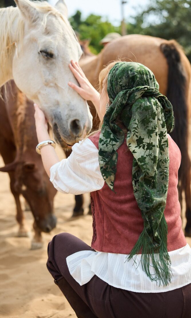 משולש MONTANA יער
